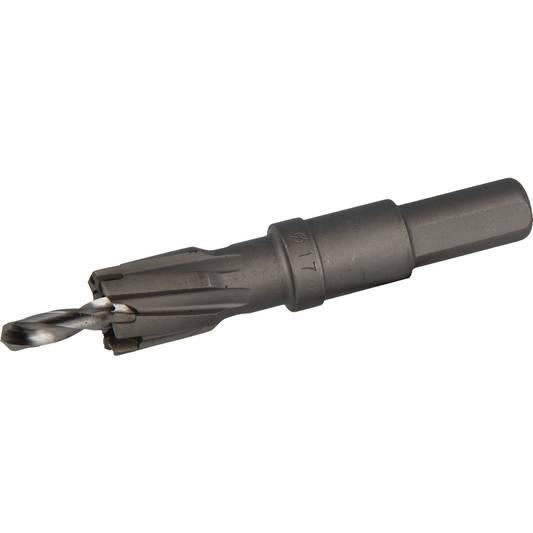 Endura stjärnborr 17x L25mm