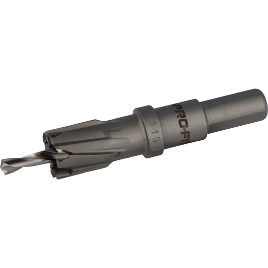 Endura stjärnborr 19x L25mm